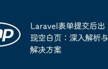 Laravel表单提交后出现空白页：深入解析与解决方案