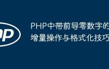 PHP中带前导零数字的增量操作与格式化技巧