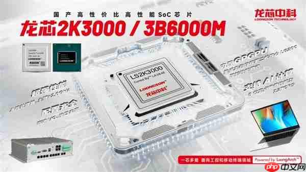 龙芯3B6000M入选国家安全可靠最高等级Ⅱ级！“三剑客”一齐登顶