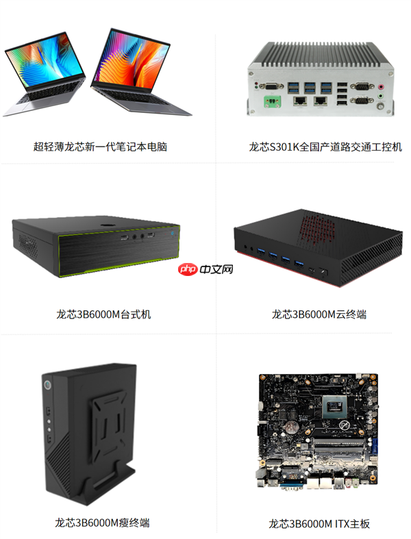 龙芯3B6000M入选国家安全可靠最高等级Ⅱ级！“三剑客”一齐登顶