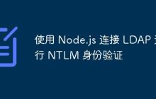 使用 Node.js 连接 LDAP 进行 NTLM 身份验证
