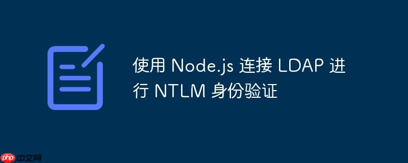 使用 node.js 连接 ldap 进行 ntlm 身份验证