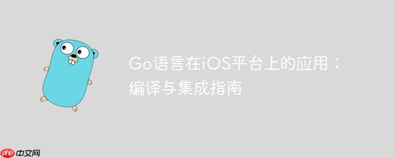 Go语言在iOS平台上的应用：编译与集成指南