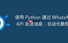 使用 Python 通过 WhatsApp API 发送消息:自动化教程