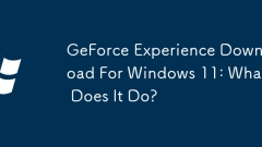 Pengalaman GeForce Muat turun untuk Windows 11: Apa yang dilakukannya?