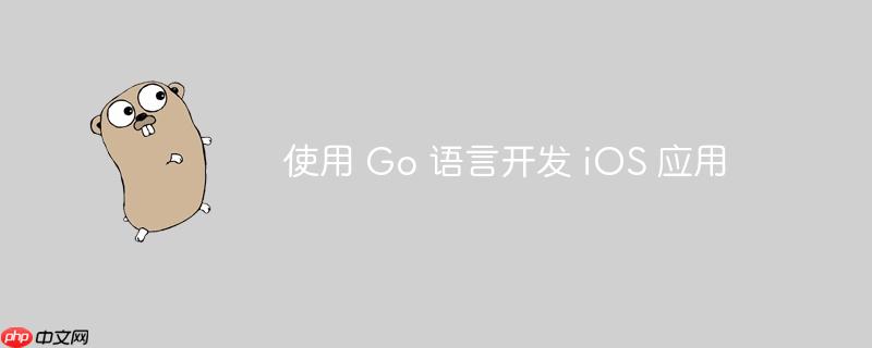 使用 Go 语言开发 iOS 应用