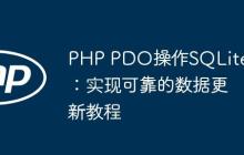 PHP PDO操作SQLite：实现可靠的数据更新教程