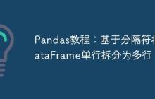 Pandas教程：基于分隔符将DataFrame单行拆分为多行