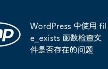 WordPress 中使用 file_exists 函数检查文件是否存在的问题