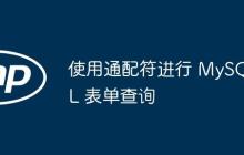 使用通配符进行 MySQL 表单查询