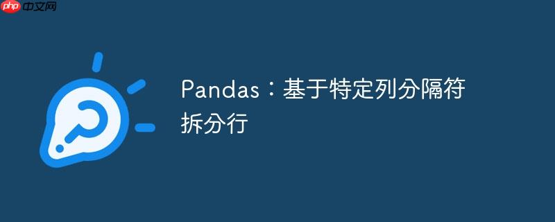 Pandas：基于特定列分隔符拆分行