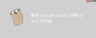 解决 filepath.Walk() 导致 panic 的问题