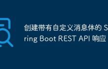 创建带有自定义消息体的 Spring Boot REST API 响应