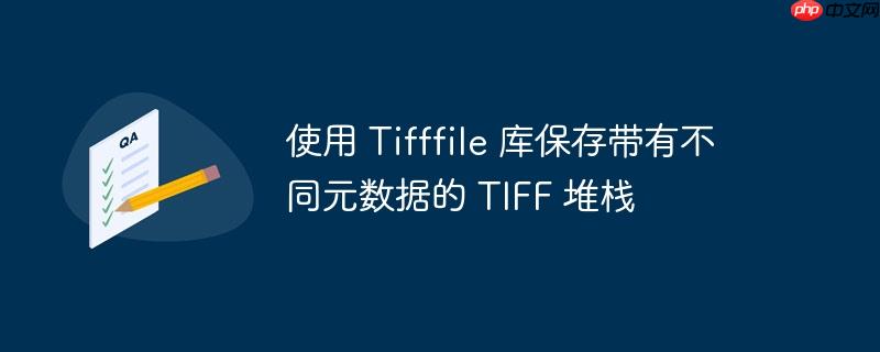 使用 Tifffile 库保存带有不同元数据的 TIFF 堆栈