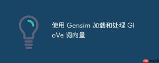 使用 Gensim 加载和处理 GloVe 词向量