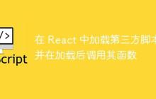 在 React 中加载第三方脚本并在加载后调用其函数