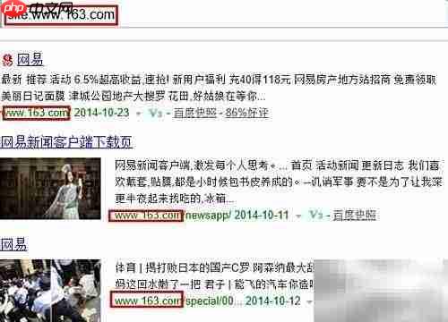 高级搜索指令site用法详解