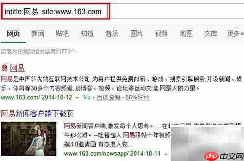 高级搜索指令site用法详解
