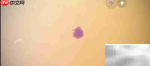 光遇晨光海单人打卡攻略