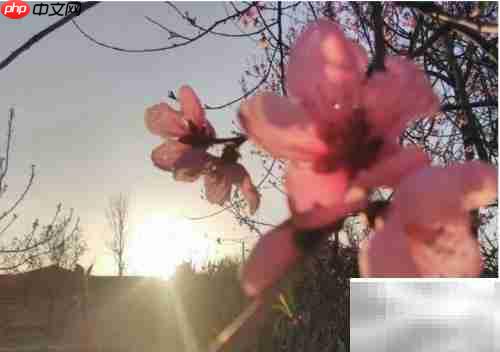 晨光之美，如诗如画