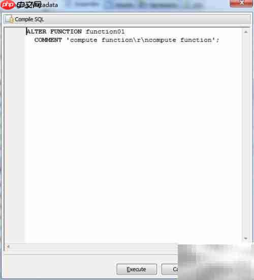 Maestro修改函数注释指南