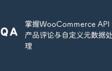 掌握WooCommerce API v3：产品评论与自定义元数据处理