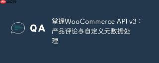 掌握WooCommerce API v3：产品评论与自定义元数据处理