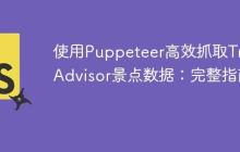 使用Puppeteer高效抓取TripAdvisor景点数据:完整指南