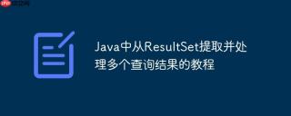 Java中从ResultSet提取并处理多个查询结果的教程