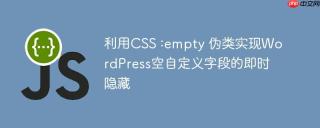 利用CSS :empty 伪类实现WordPress空自定义字段的即时隐藏
