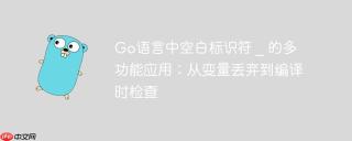 Go语言中空白标识符 _ 的多功能应用：从变量丢弃到编译时检查