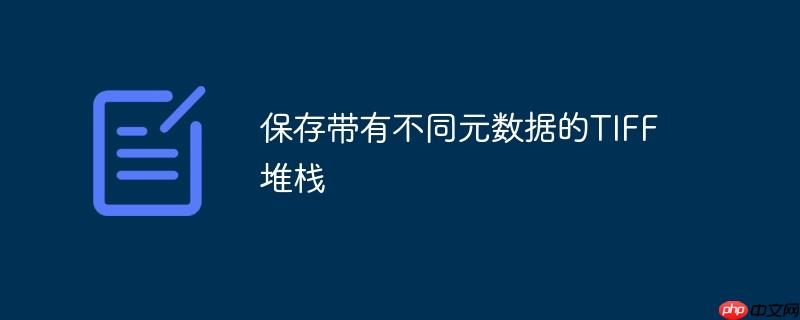 保存带有不同元数据的TIFF堆栈