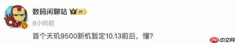 vivo X300 Pro 闪光灯再升级,开创夜景人像新赛道