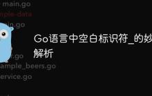 Go语言中空白标识符_的妙用解析