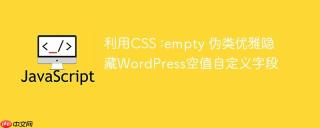 利用CSS :empty 伪类优雅隐藏WordPress空值自定义字段
