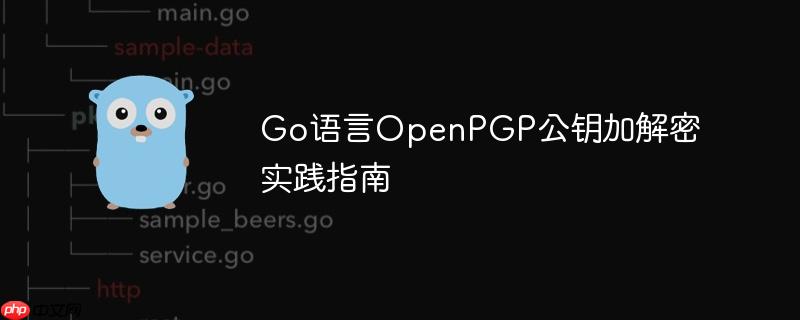 Go语言OpenPGP公钥加解密实践指南