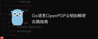 Go语言OpenPGP公钥加解密实践指南