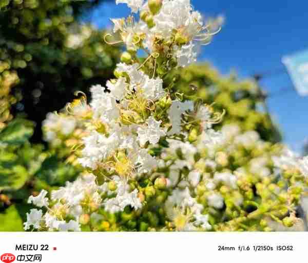 魅族22上手:3000元档小屏手机的最优解 找不到短板