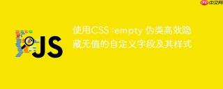 使用CSS :empty 伪类高效隐藏无值的自定义字段及其样式