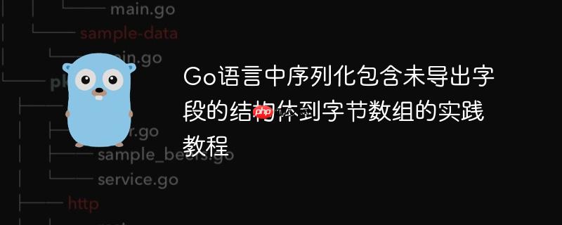 Go语言中序列化包含未导出字段的结构体到字节数组的实践教程