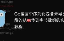 Go语言中序列化包含未导出字段的结构体到字节数组的实践教程