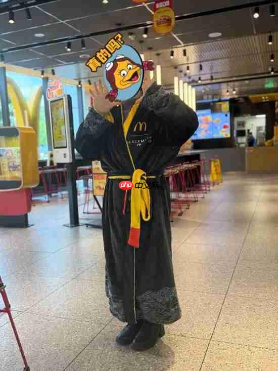 博主晒《黑神话:悟空》联动麦当劳“战袍”试穿照:穿在身上超帅气!
