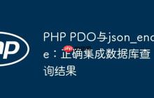 PHP PDO与json_encode：正确集成数据库查询结果