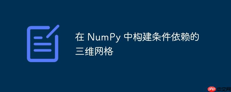 在 NumPy 中构建条件依赖的三维网格