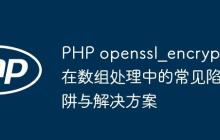 PHP openssl_encrypt 在数组处理中的常见陷阱与解决方案