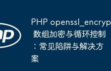 PHP openssl_encrypt 数组加密与循环控制：常见陷阱与解决方案