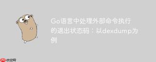 Go语言中处理外部命令执行的退出状态码：以dexdump为例