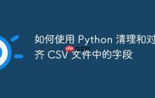 如何使用 Python 清理和对齐 CSV 文件中的字段