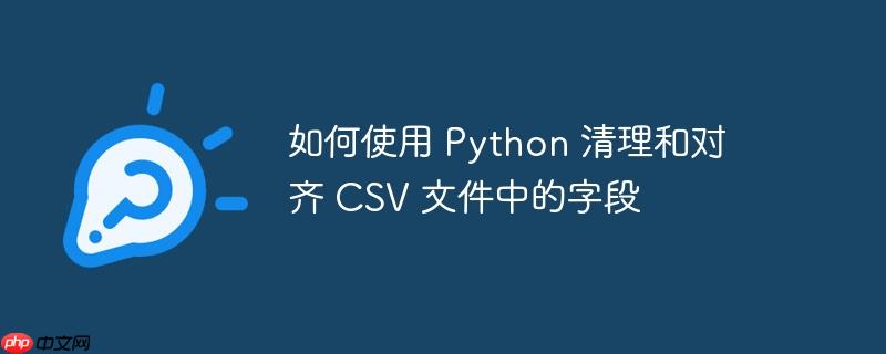 如何使用 python 清理和对齐 csv 文件中的字段