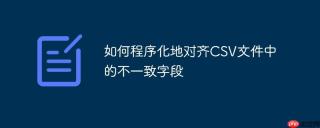 如何程序化地对齐CSV文件中的不一致字段